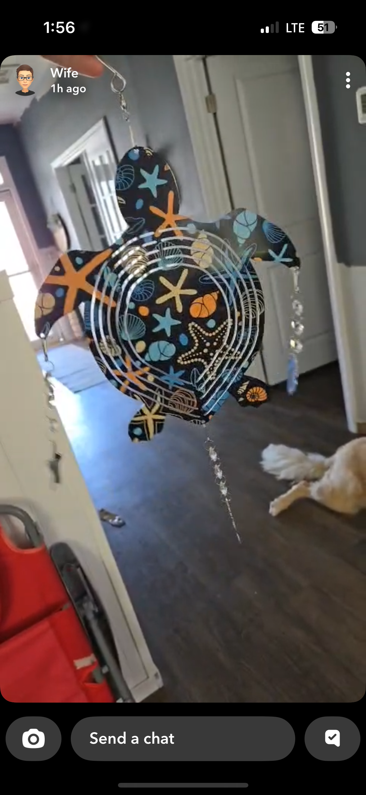 Turtle  Wind Spinner