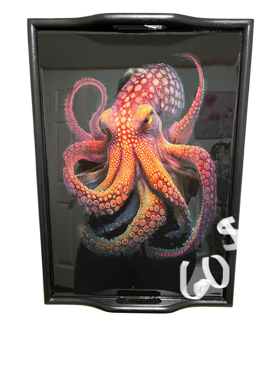 N-Octopus Resin Tray